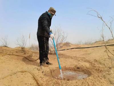 持續一小步，邁向綠色未來 每日黑巧以“巧護地球”引領農副產品銷售新篇章